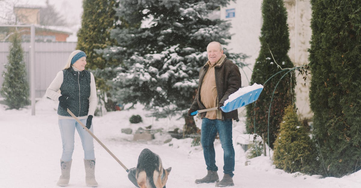 What is a snow truck called?